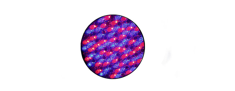 STANDARD („VIOLETTE“) LED
