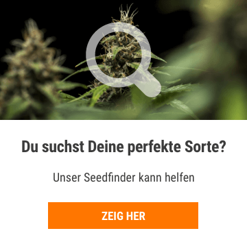 Cannabis Seedfinder