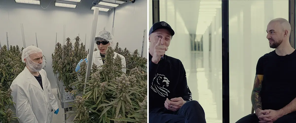 Simon CRIC Labs Cannabis Forschung Rolle Führer Eine Illustration von Simon von CRIC Labs, der mit Max über seine Forschungsrolle spricht, vor einem hochmodernen indoor Anbauraum mit Cannabispflanzen, Daten sammelnden Werkzeugen und Softwareplattformen, auf einem grünen Hintergrund.