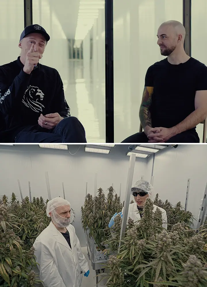 Simon CRIC Labs Cannabis Forschung Rolle Führer Eine Illustration von Simon von CRIC Labs, der mit Max über seine Forschungsrolle spricht, vor einem hochmodernen indoor Anbauraum mit Cannabispflanzen, Daten sammelnden Werkzeugen und Softwareplattformen, auf einem grünen Hintergrund.