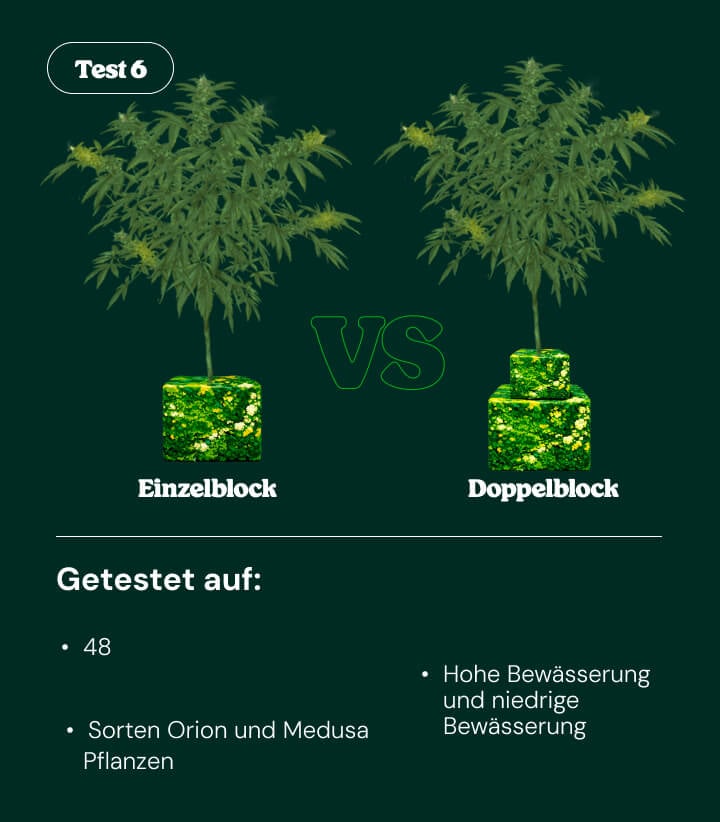 Einführung in Versuch 6: Single Block vs Dual Block Bewässerung Einführung in Versuch 6 mit Vergleich von Single-Block- und Dual-Block-Bewässerungssystemen bei Cannabispflanzen