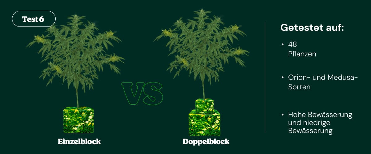 Einführung in Versuch 6: Single Block vs Dual Block Bewässerung Einführung in Versuch 6 mit Vergleich von Single-Block- und Dual-Block-Bewässerungssystemen bei Cannabispflanzen