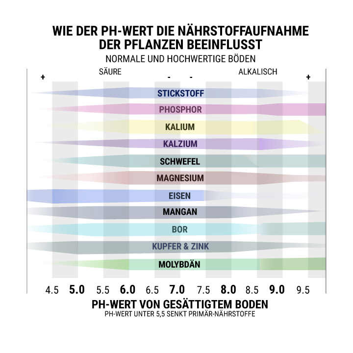 Wie Der PH Wert Die Nährstoffaufnahme Der Pflanzen Beeinflusst Normale Und Hochwertige Böden