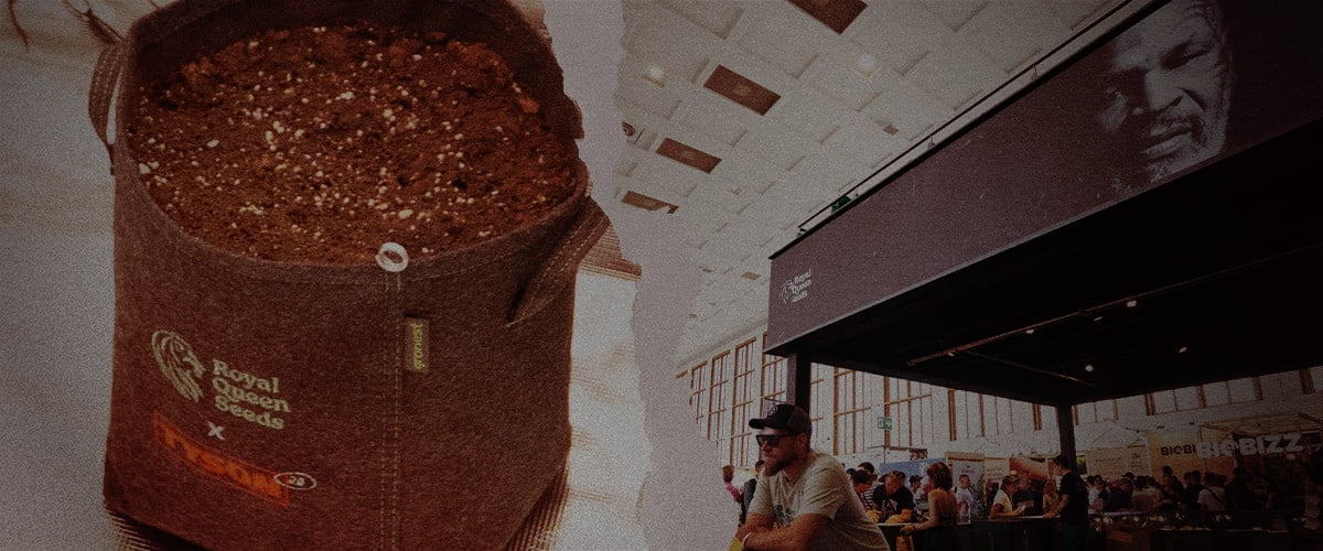 Stofftopf mit Erde von Royal Queen Seeds x Tyson 2.0, daneben ein gut besuchter Messestand mit Mike Tysons Bild und Markenpräsenz auf einer Cannabis-Veranstaltung.