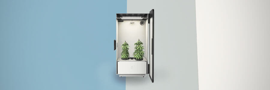 “the Leaf” Growbox “the Leaf” Growbox