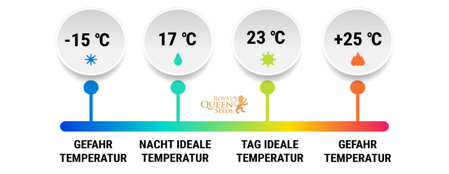 DIE TEMPERATUR SPIELT EINE ENTSCHEIDENDE ROLLE BEIM KEIMEN DIE TEMPERATUR SPIELT EINE ENTSCHEIDENDE ROLLE BEIM KEIMEN