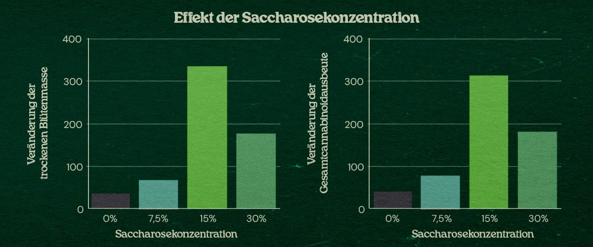 Diagramm Wirkung Saccharosekonzentration bei PSIS Technik bis +31% Trockengewicht Blüten und +34% Cannabinoid Ertrag bei 15% bis 30% Saccharose
