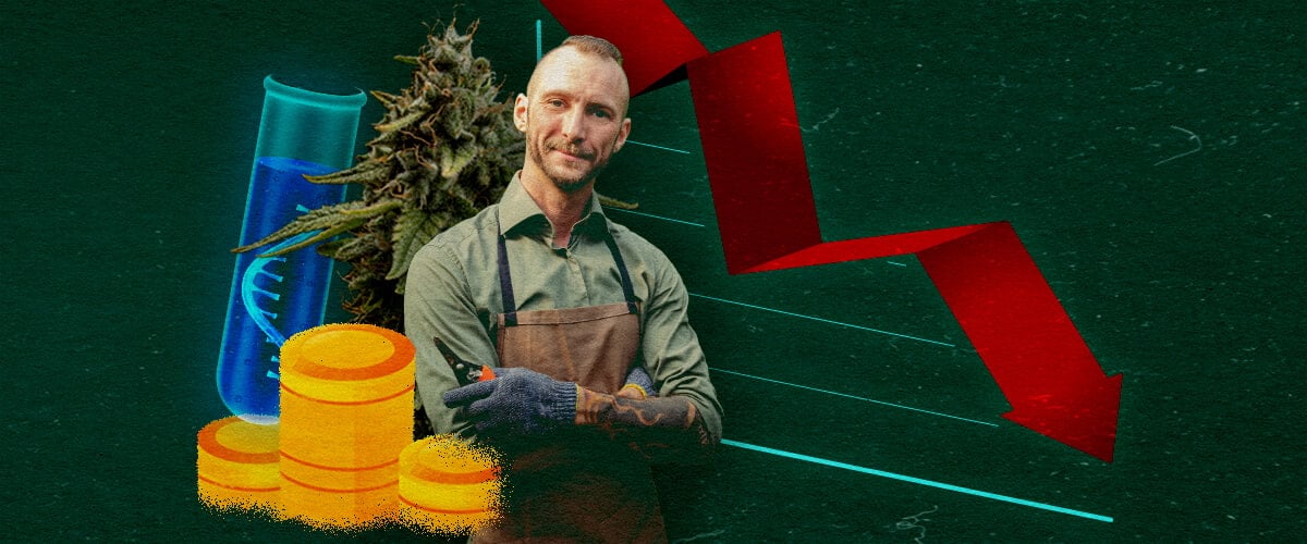 Cannabis-Anbauer mit Reagenzglas, Münzen und absteigendem rotem Diagramm auf grünem Hintergrund, zeigt wirtschaftlichen Einfluss.