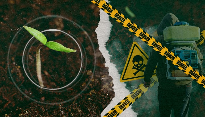 Die Dringende Notwendigkeit Organischer Fungizide: Schutz Unserer Ernährung und Bodengesundheit Der Kontrast zwischen gesundem Pflanzenwachstum und den Gefahren synthetischer Fungizide in der modernen Landwirtschaft, die die Notwendigkeit organischer Alternativen hervorhebt.