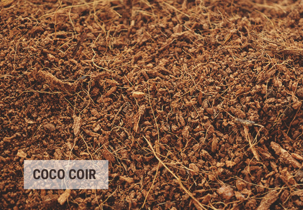 Tipps Für Die Wiederverwendung Von Kokosfasern