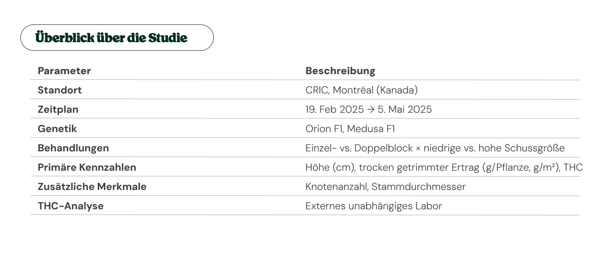 Überblick über den Cannabisversuch am CRIC: Ort, Zeitraum und Methodik Übersichtstabelle des Versuchs mit CRIC-Standort, Zeitraum, Cannabis-Genetik, Behandlungen und Messparametern