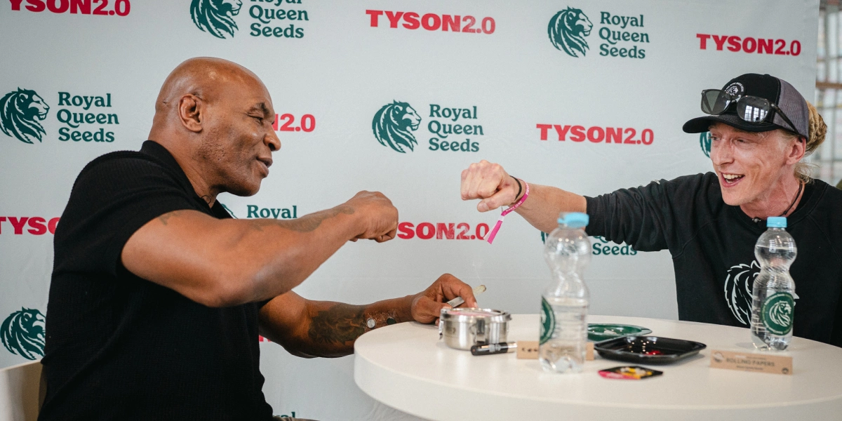 Mike Tyson spricht mit Max Majot über Cannabiskultur Sieh, wie Mike Tyson und Master Grower Max Majot über die Cannabiskultur in Europa, herausragende Sorten und das sprechen, was Growern am wichtigsten ist.