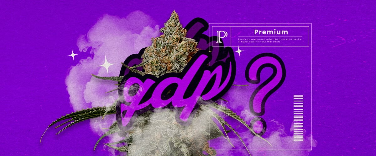 Eine Illustration von Granddaddy Purple Cannabis-Knospen mit tiefpurpurnen Farbtönen und dichter Struktur, die die dominanten Indica-Hybrid-Eigenschaften und den süßen, traubenähnlichen Duft hervorhebt, auf einem grünen Hintergrund.