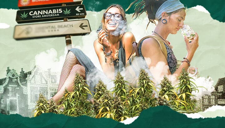Cannabis-Tourismus: Den wachsenden Reisetrend verstehen Erkunden Sie das Phänomen des Cannabis-Tourismus und untersuchen Sie Reiseziele, Vorschriften und Erlebnisse, die Reisende anziehen, die sich für Cannabis-Kultur und -Produkte interessieren.