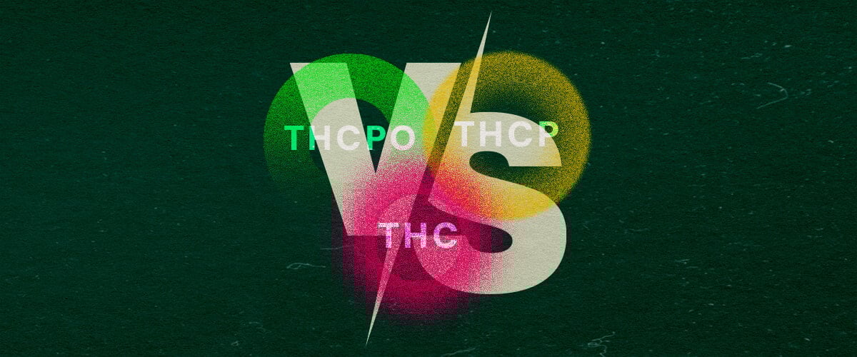 Entdecken Sie die Unterschiede zwischen THCPO, THCP und THC mit dieser Lebhaften Vergleichsgrafik Farbige Grafik, die THCPO, THCP und THC vergleicht, mit fetter Schrift und lebhaften grünen, pinken und gelben Tönen auf einem dunkelgrünen Hintergrund, ideal für Cannabis-Vergleichsartikel.