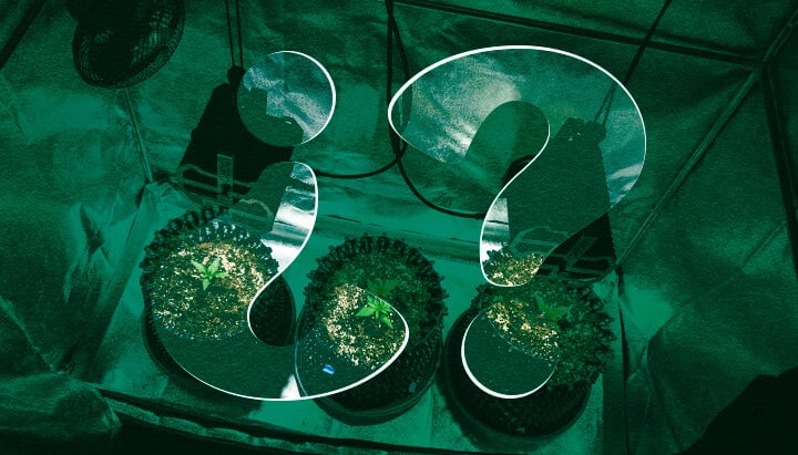 Warum ein Growzelt für Cannabis Verwenden? Vorteile von Indoor-Anbauzelten Entdecken Sie die Vorteile der Verwendung eines Growzelts für den Indoor-Cannabisanbau. Erfahren Sie mehr über optimierte Klimakontrolle, verbesserte Lichteffizienz, überlegene Schädlingsprävention und erhöhte Privatsphäre für Ihre Cannabispflanzen.