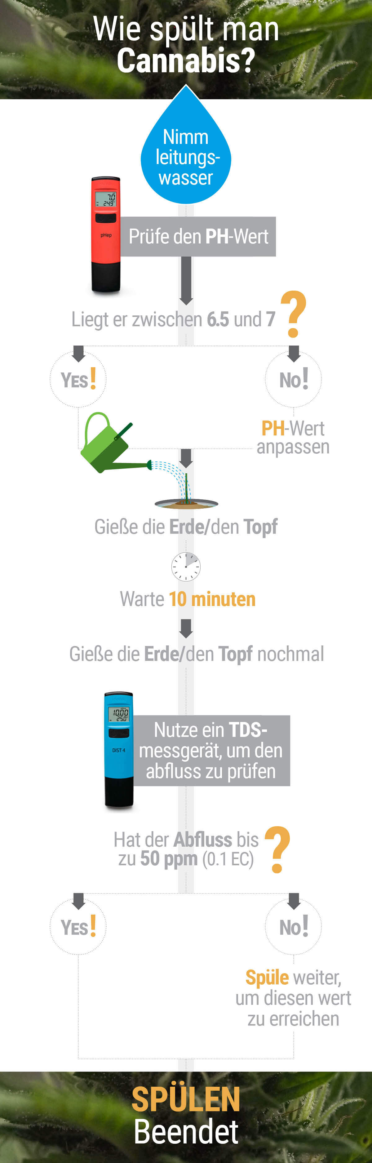 Wie und Wann man Marihuana-Pflanzen Ausspühlt