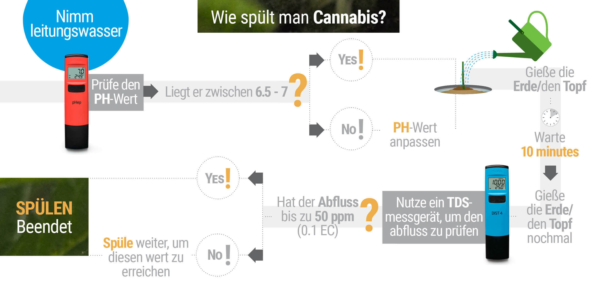 Wie und Wann man Marihuana-Pflanzen Ausspühlt