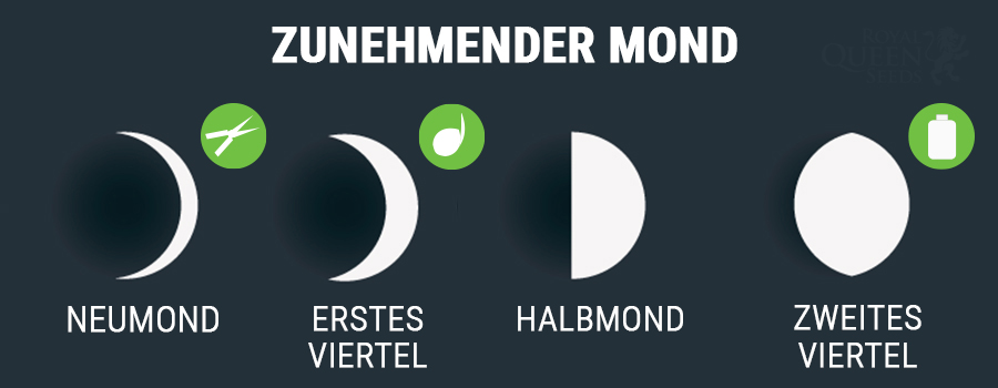Zunehmender Mond Zunehmender Mond
