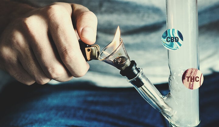 Was sind Cannabinoidsäuren? Was sind Cannabinoidsäuren?