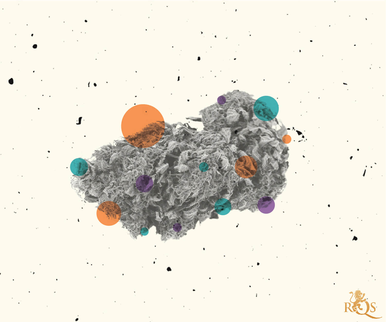 Chemikalien in Cannabis