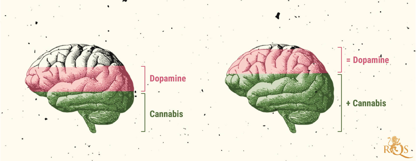 Mögliche Ursachen von Cannabissucht