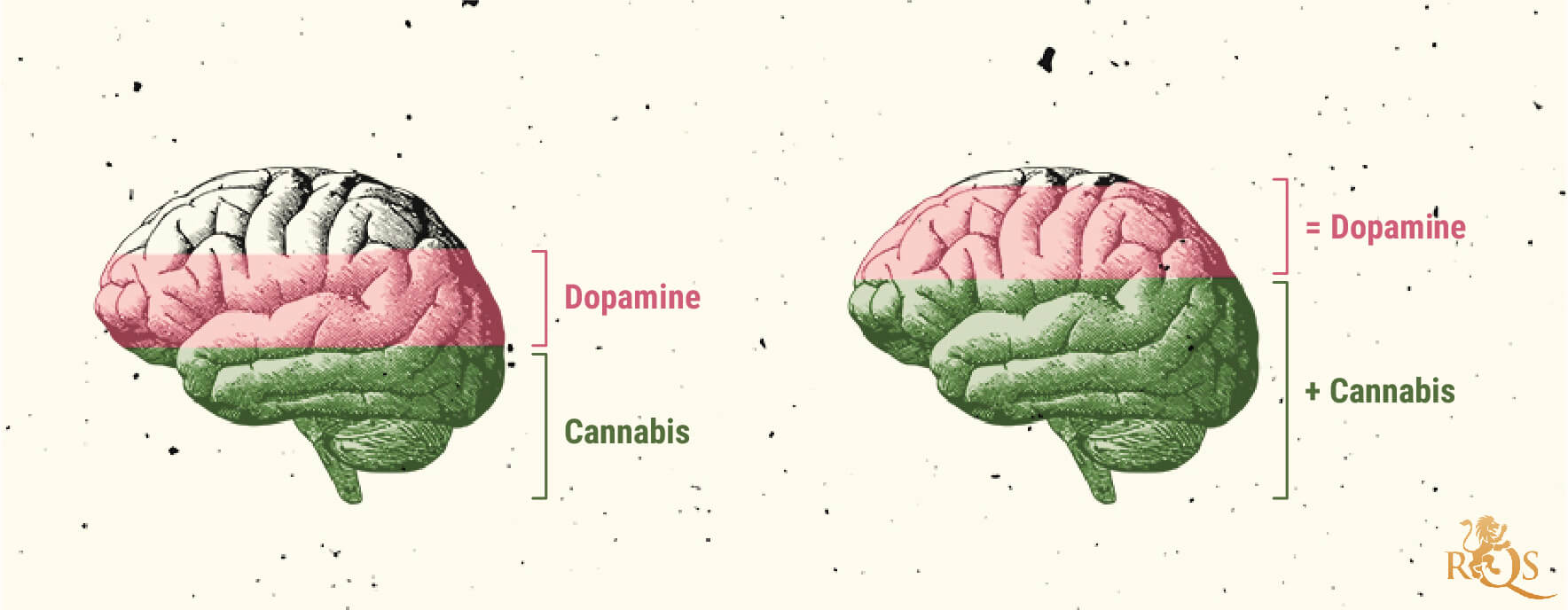 Mögliche Ursachen von Cannabissucht Mögliche Ursachen von Cannabissucht