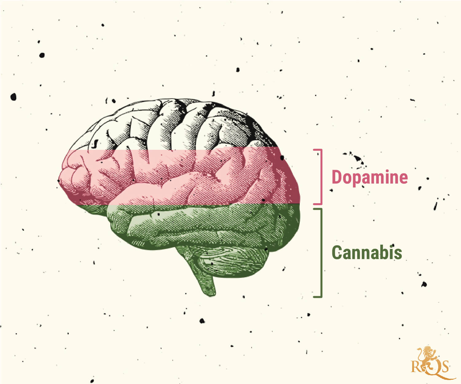 Mögliche Ursachen von Cannabissucht