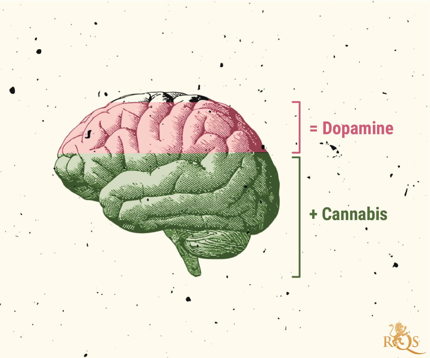 Mögliche Ursachen von Cannabissucht