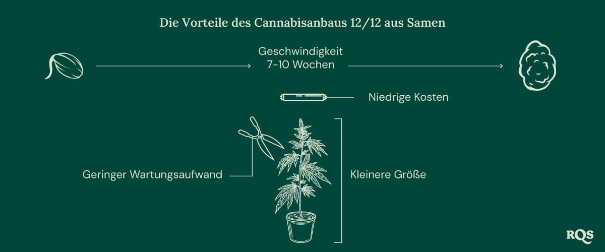 12-12 Cannabis Light Cycle advantages