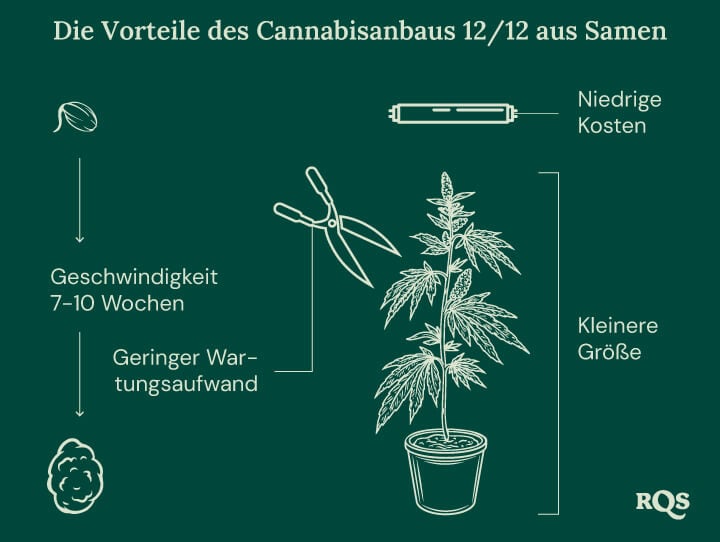 12-12 Cannabis Light Cycle advantages