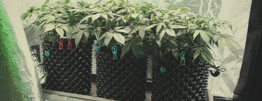 Air pots Air pots