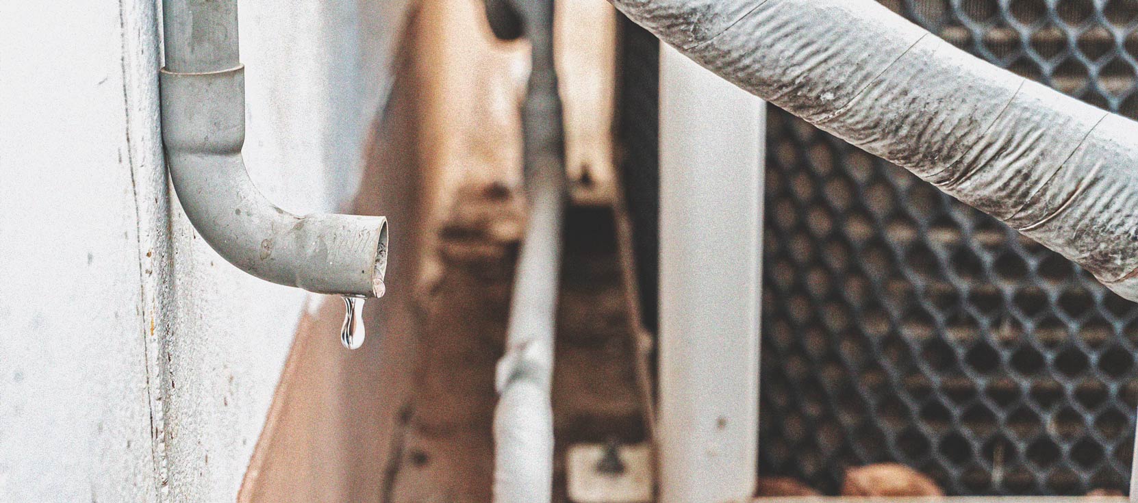 Cannabis und Wasserqualität Teil 3: Die Wahl der Wasserquelle Cannabis und Wasserqualität Teil 3: Die Wahl der Wasserquelle