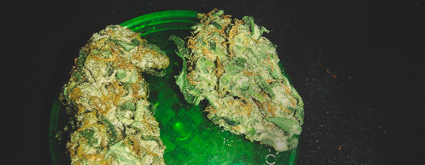 Amnesia Haze Amnesia Haze