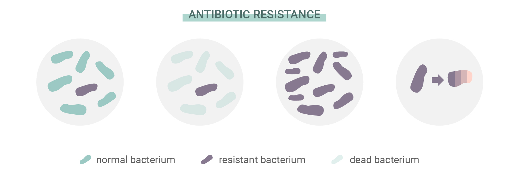 Was ist eine Antibiotikaresistenz? Was ist eine Antibiotikaresistenz?