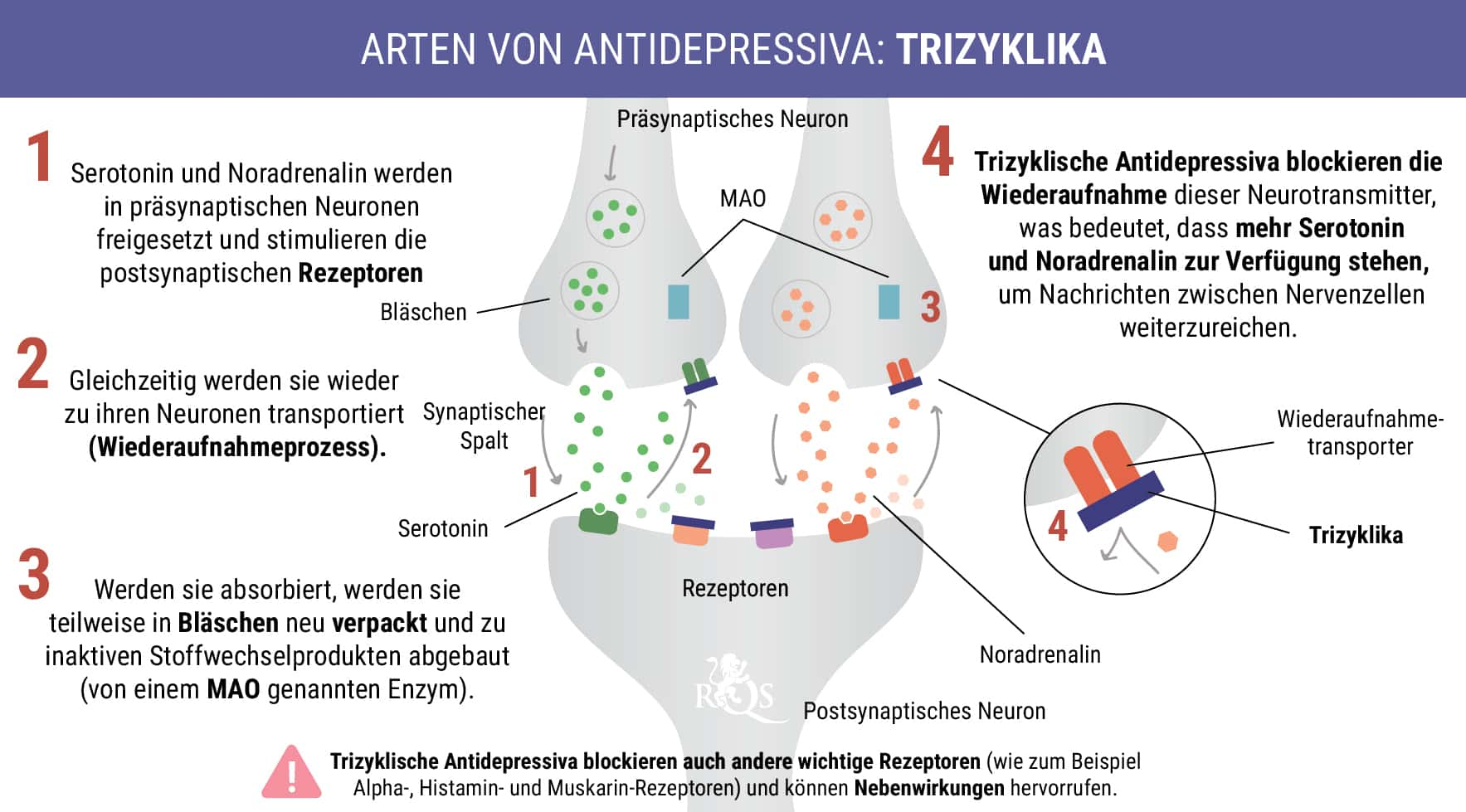 Wie Cannabis mit Antidepressiva interagiert - RQS Blog