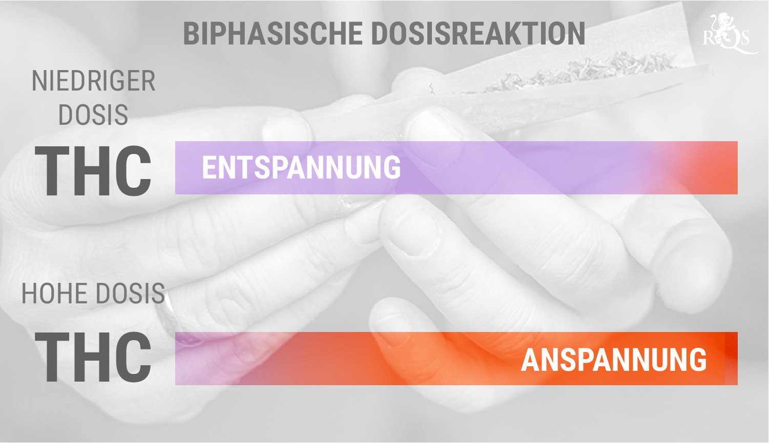 Hilft Cannabis gegen Angst? RQS Blog
