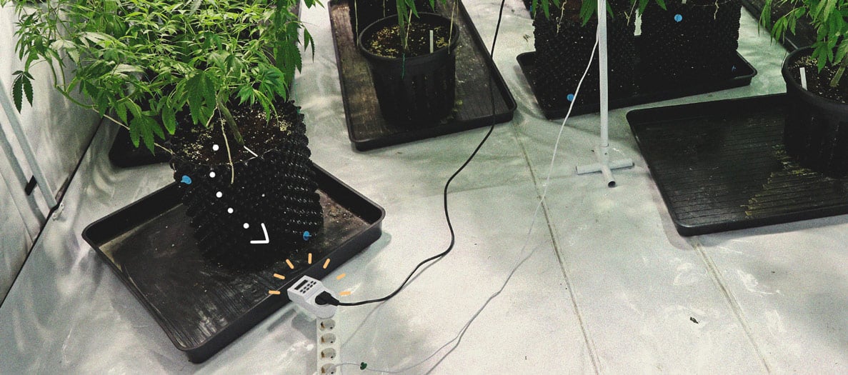 Alles Wissenswerte über Cannabis-Growboxen Alles Wissenswerte über Cannabis-Growboxen