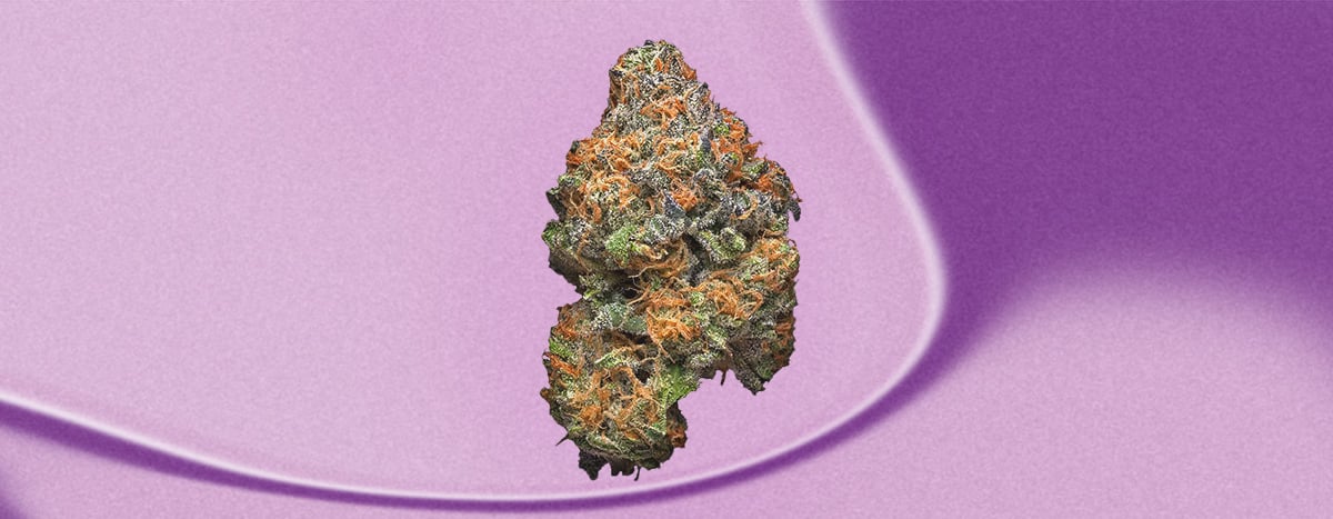 Grape Ape Cannabis Bud