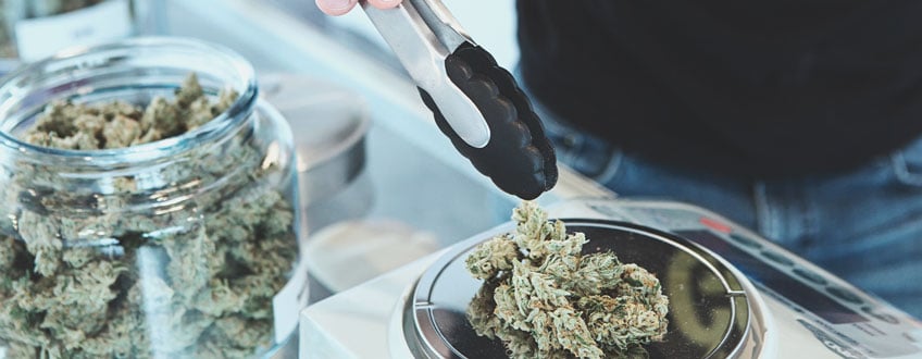 Germany Cannabis Supply Germany Cannabis Supply