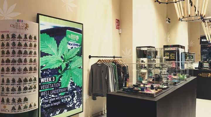 Royal Queen Seeds kommen nach Barcelona Royal Queen Seeds kommen nach Barcelona