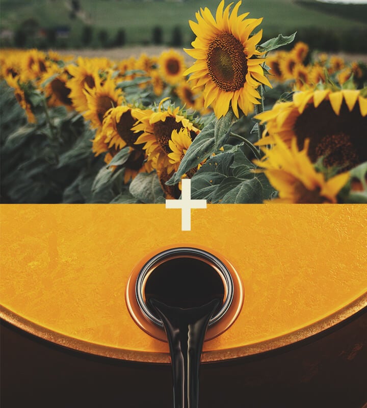 Biodiesel Biodiesel
