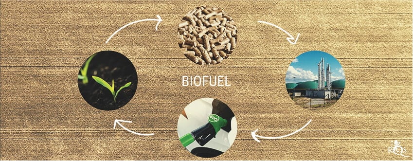 Was genau sind Biokraftstoffe?