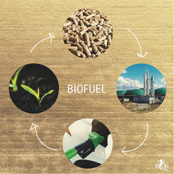 Was genau sind Biokraftstoffe?