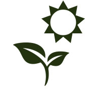 Cannabis Heatwave