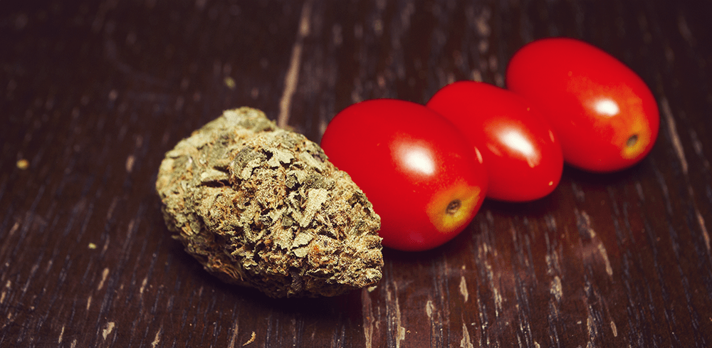 Cannabis Bloody Mary Cannabistinktur Drinks