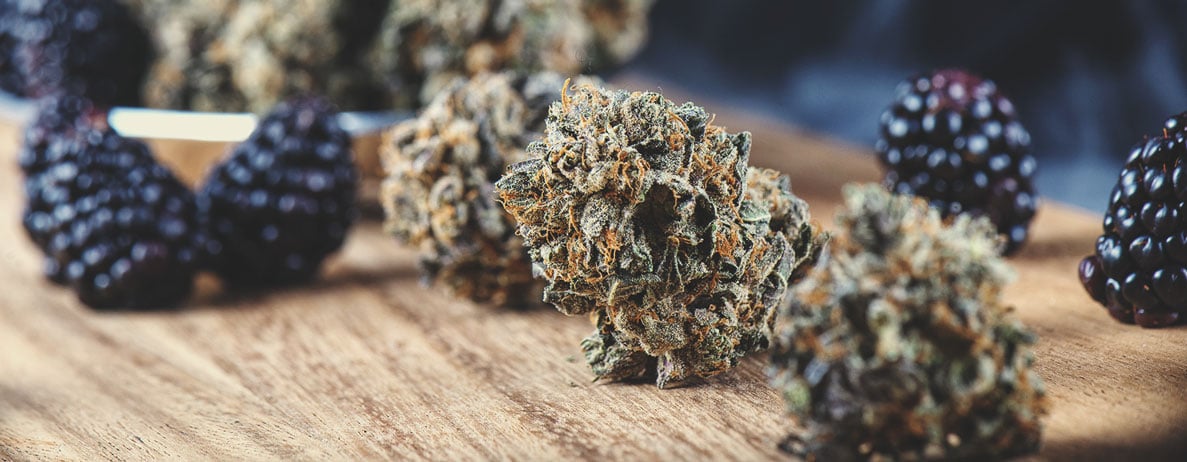 Geschmack und Wirkung von Cannabissorten: Ein Leitfaden