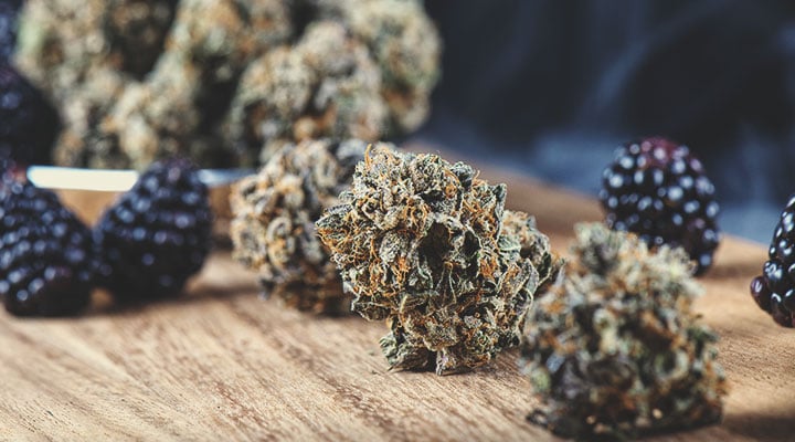 Geschmack und Wirkung von Cannabissorten: Ein Leitfaden Geschmack und Wirkung von Cannabissorten: Ein Leitfaden
