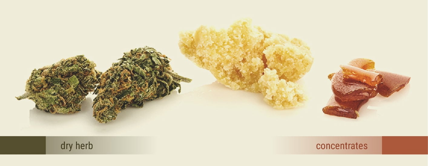 Getrocknetes Gras vs. Konzentrate Getrocknetes Gras vs. Konzentrate