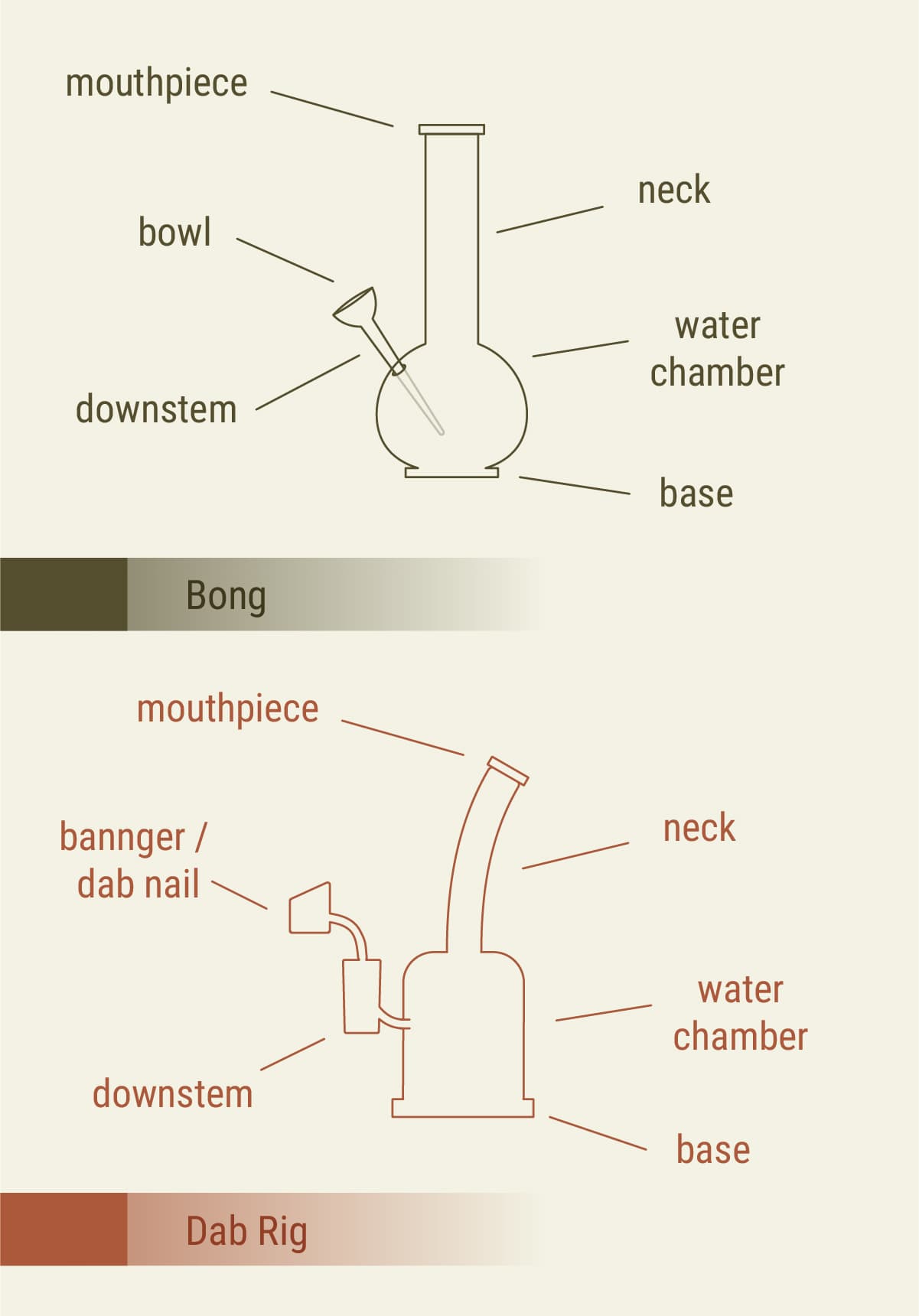 Dab Rig vs. Bong: Design